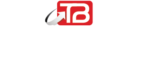 tech bridge international logo 02