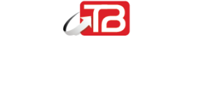 tech bridge international logo 02