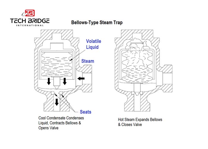 tech bridge international steam trap 00